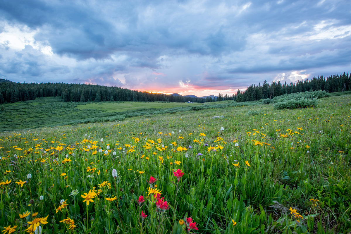 The Awakening: The Spirit of Spring
