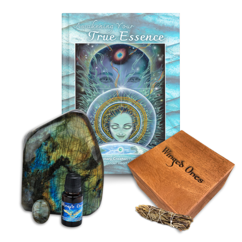 Essential Oil Kit